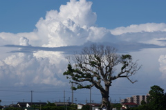 夏雲爆誕！