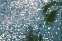 光る海
