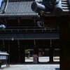 専修寺山門