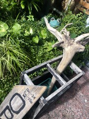 カモフラージュ・・・