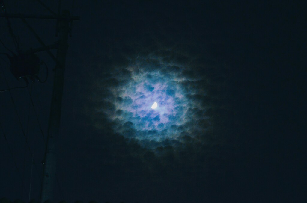 異世界への入口