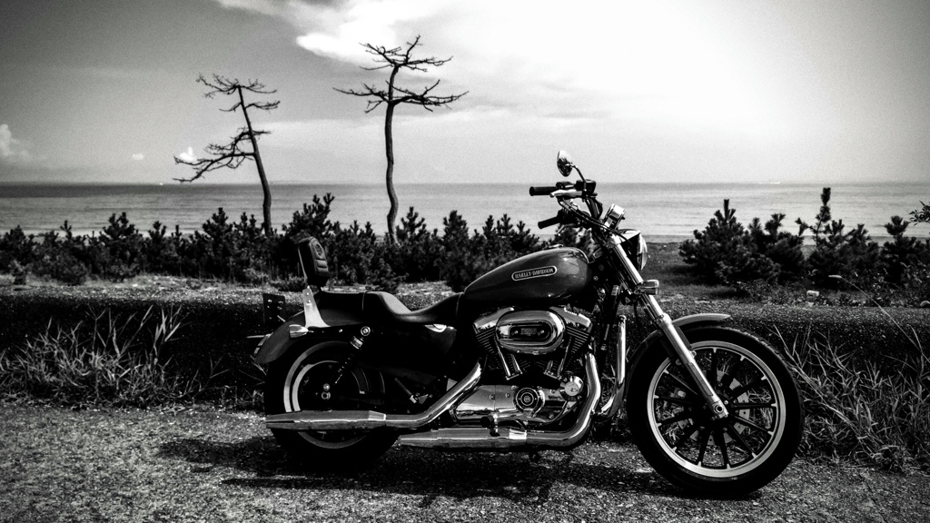 あの夏の鼓動・・・