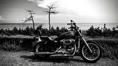 あの夏の鼓動・・・