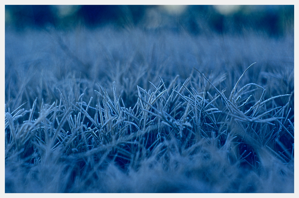 凍てつく息吹