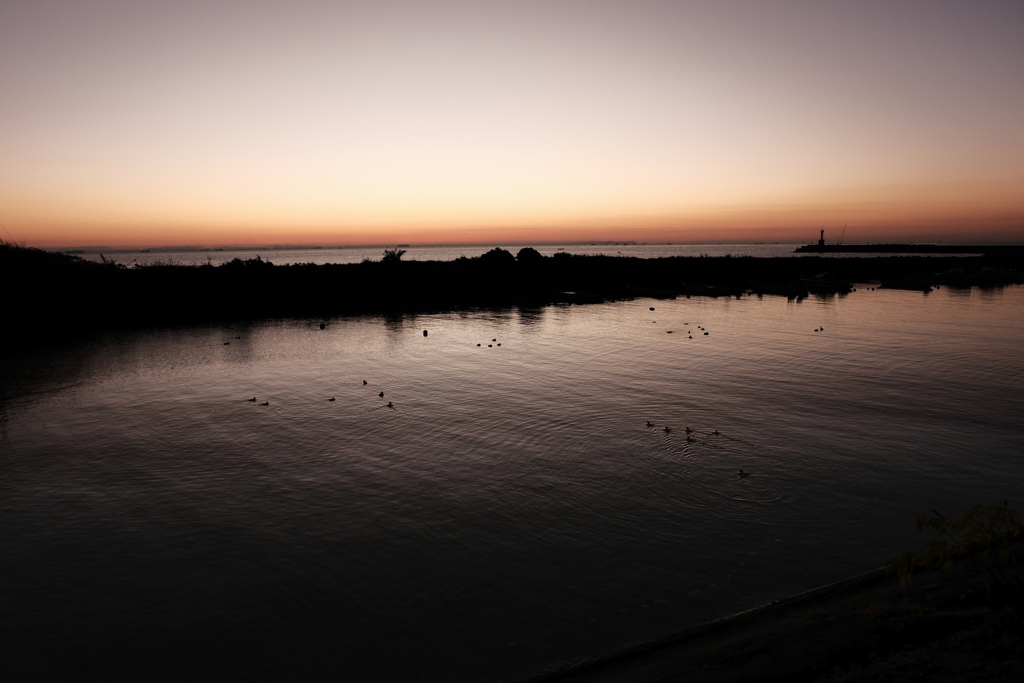 寂び色の夜明け