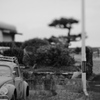 VW