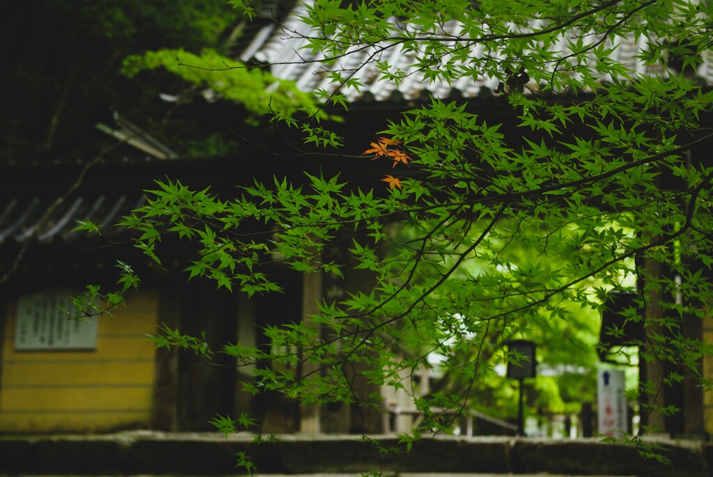 時節を待つ