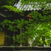 時節を待つ