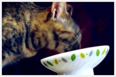 至福のひととき