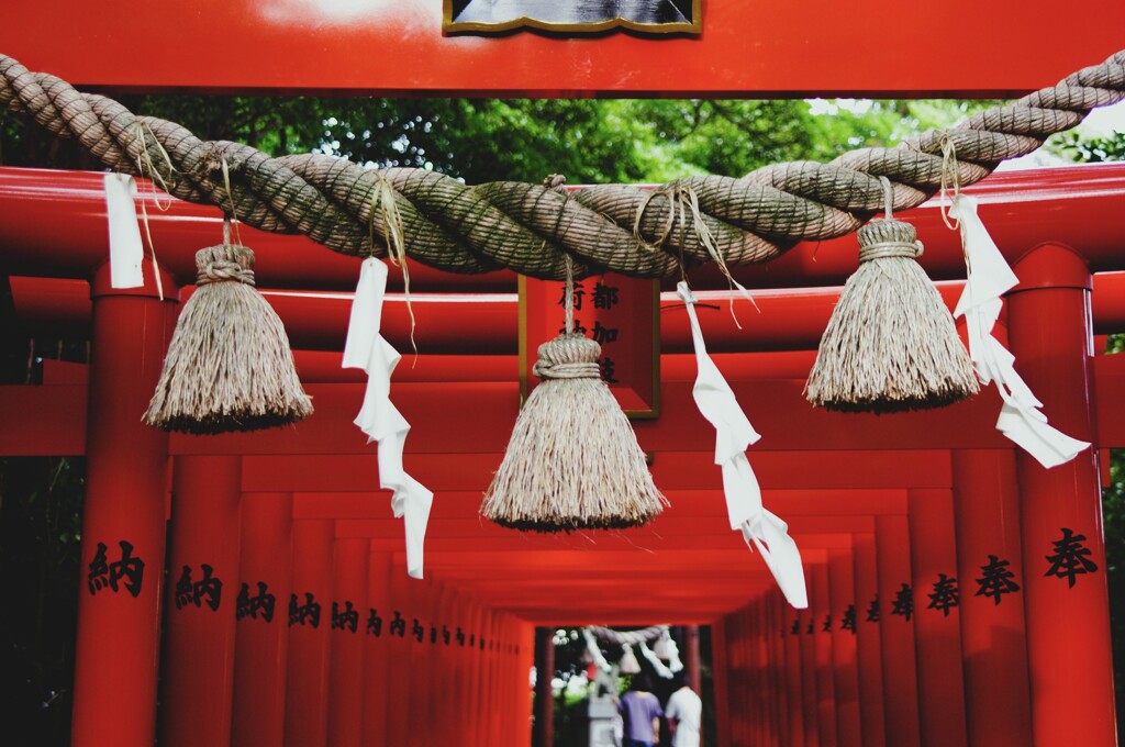 奉納鳥居