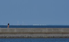 防波堤の釣ガール