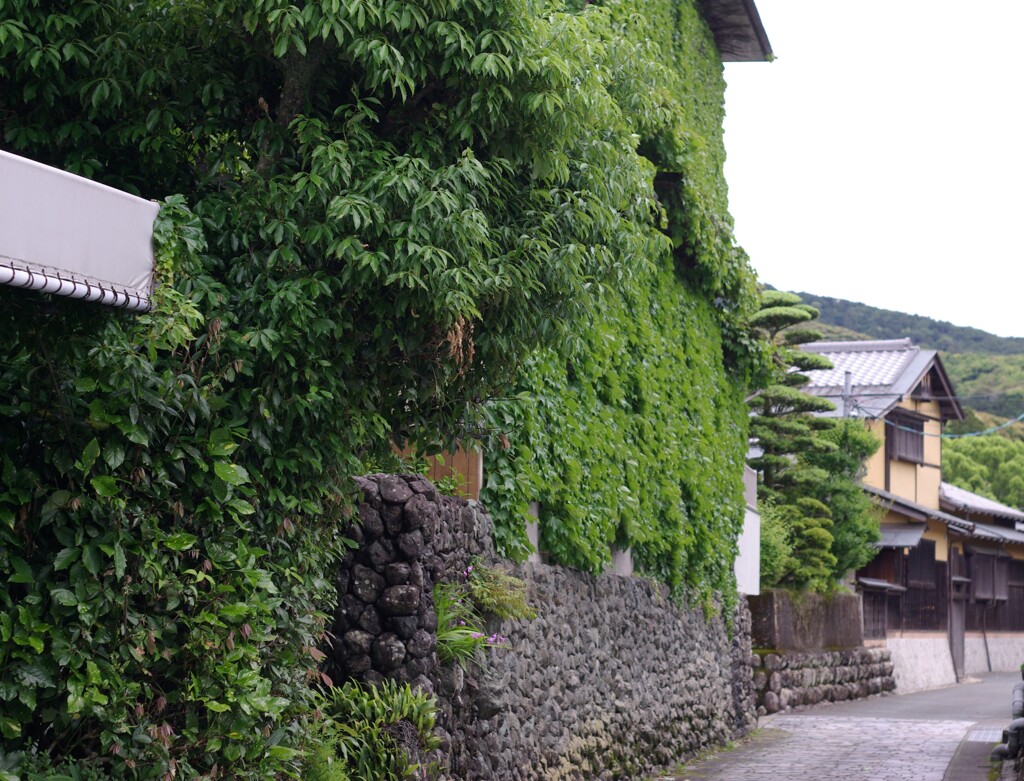 GREENな家