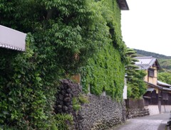GREENな家