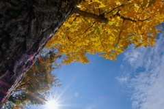 ララ・サンシャイン！