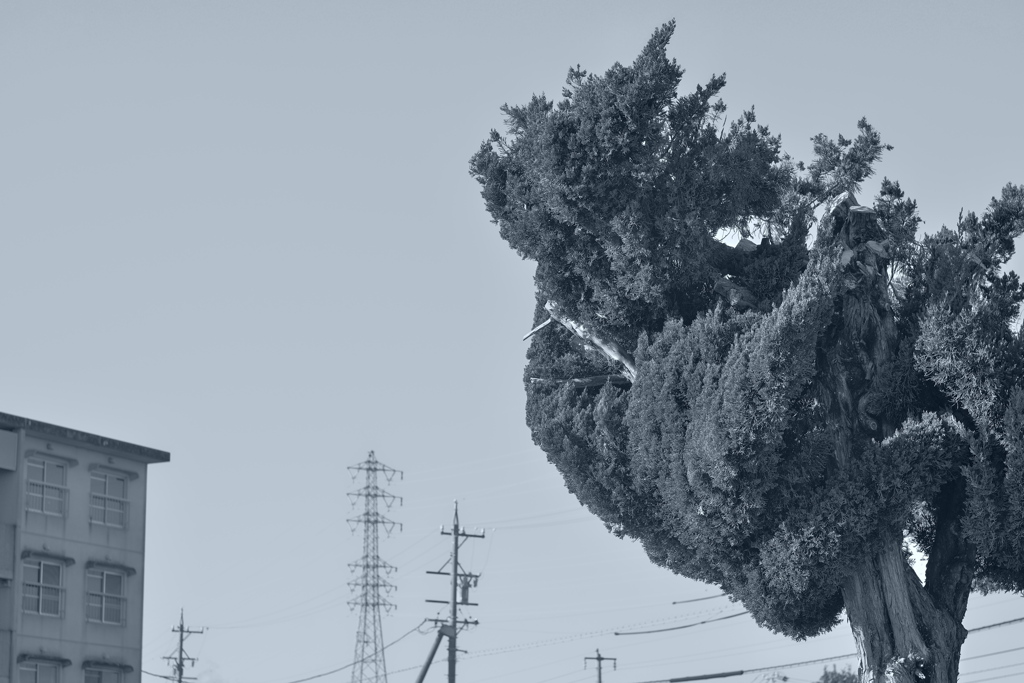 抱っこちゃん！