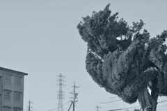 抱っこちゃん！