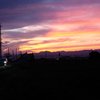 夕焼けピンク
