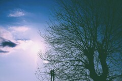 空に描く生命の輪郭