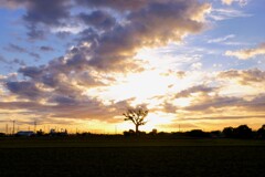 朝暘のスポットライト