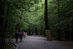 参道の灯り