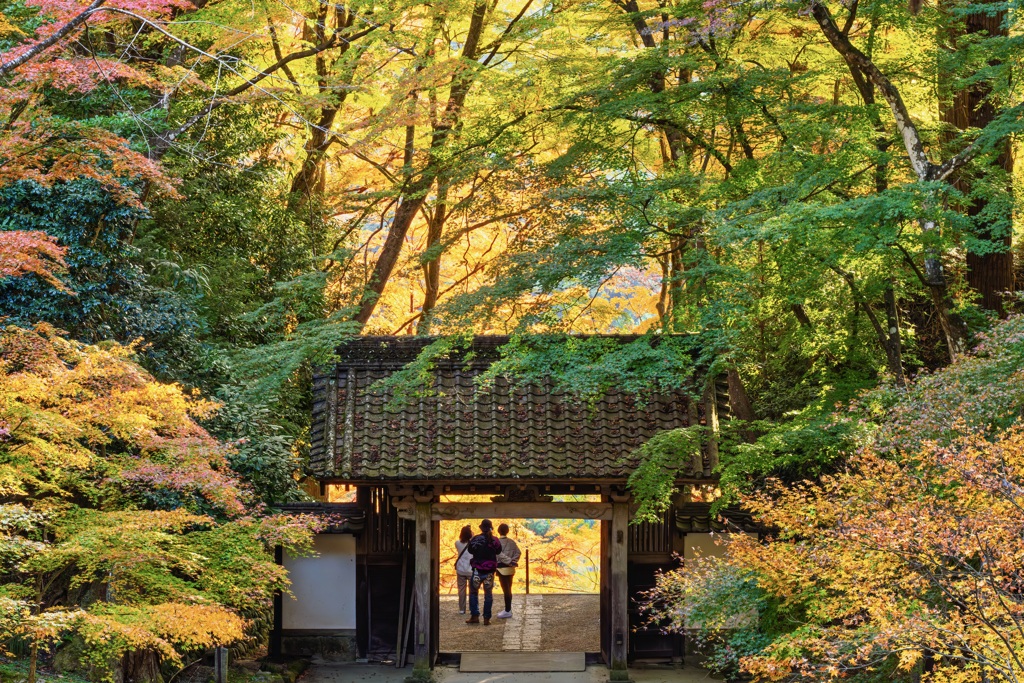 彩の門をくぐる