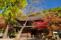 秋彩の古寺