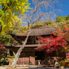 秋彩の古寺