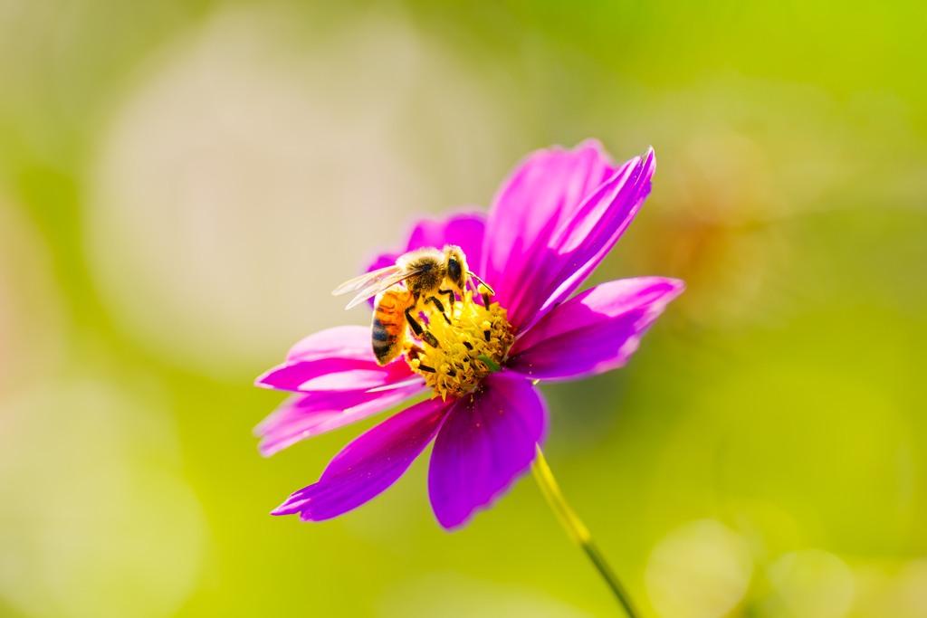 ひかりに包まれて