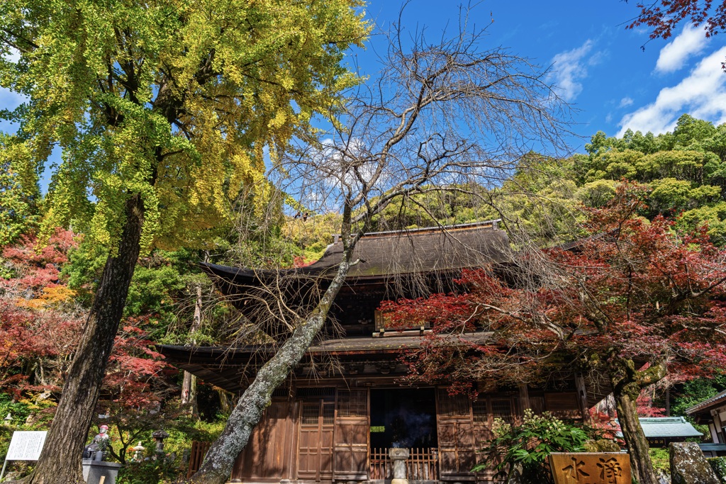 秋彩に包まれた古寺