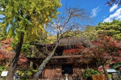 秋彩に包まれた古寺