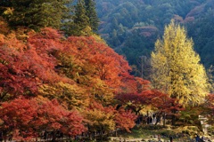 秋彩のシンフォニー