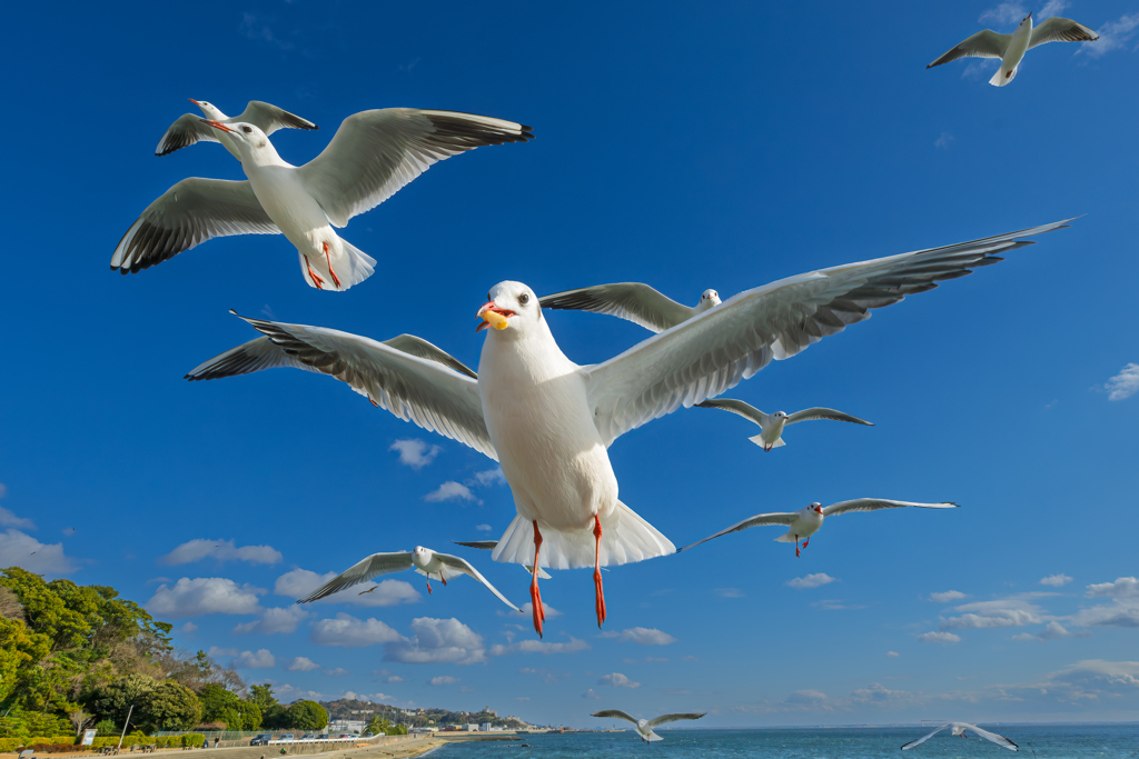 ナイスキャッチ