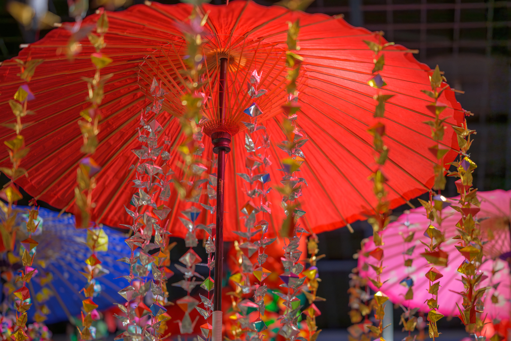 和傘、光彩を纏う