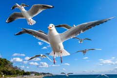 ナイスキャッチ