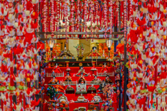 紅に導かれる雛の座