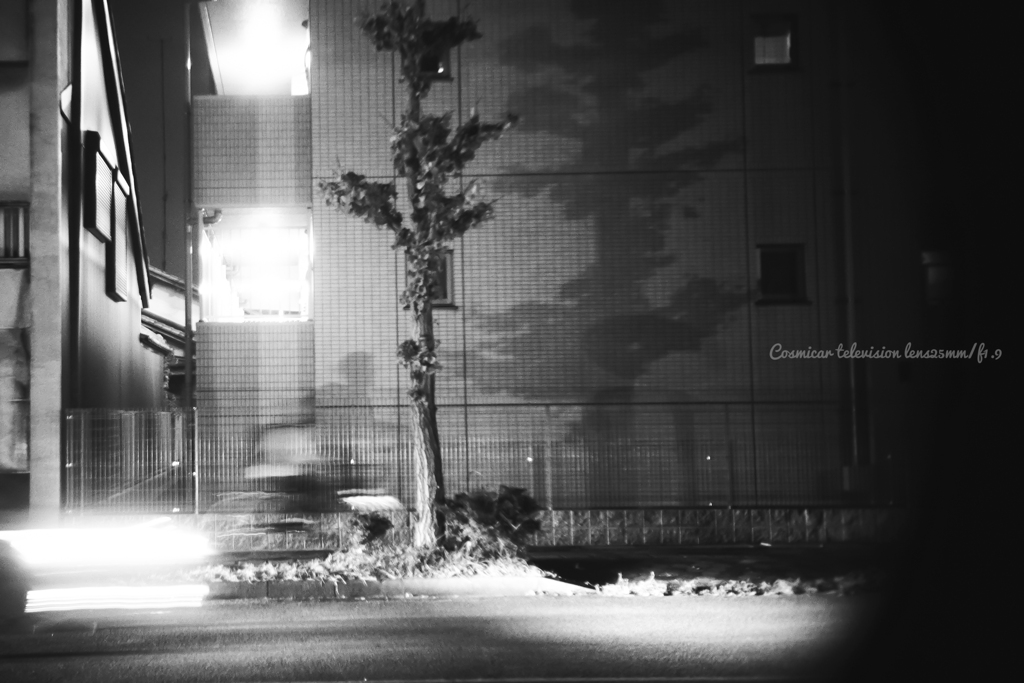 駆け抜ける影…