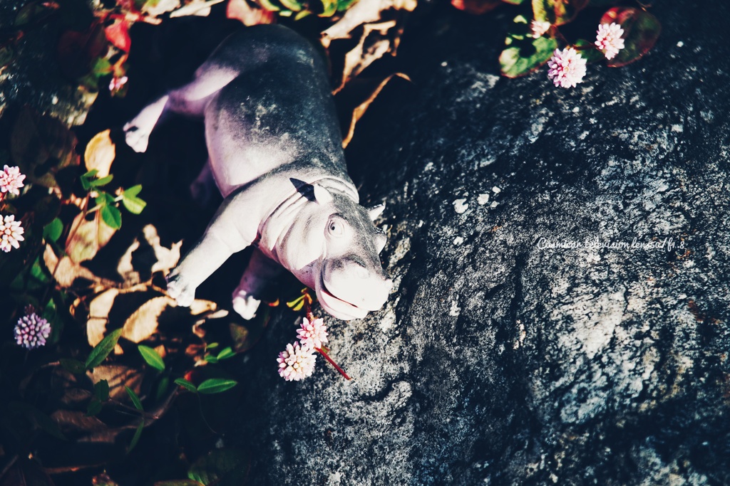 ツルッと旨い蕎麦…