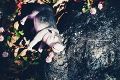 ツルッと旨い蕎麦…