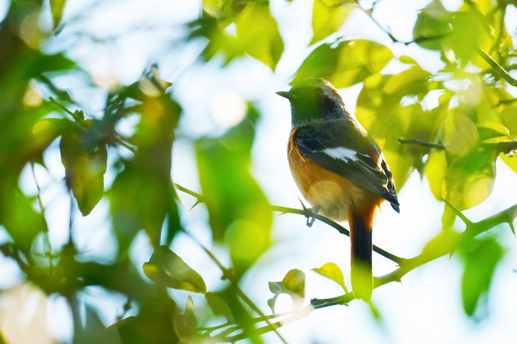光の粒に包まれて…