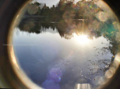 light on the water…