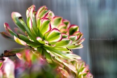 "我、ここに君臨す "…