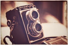 沈黙のカメラ…