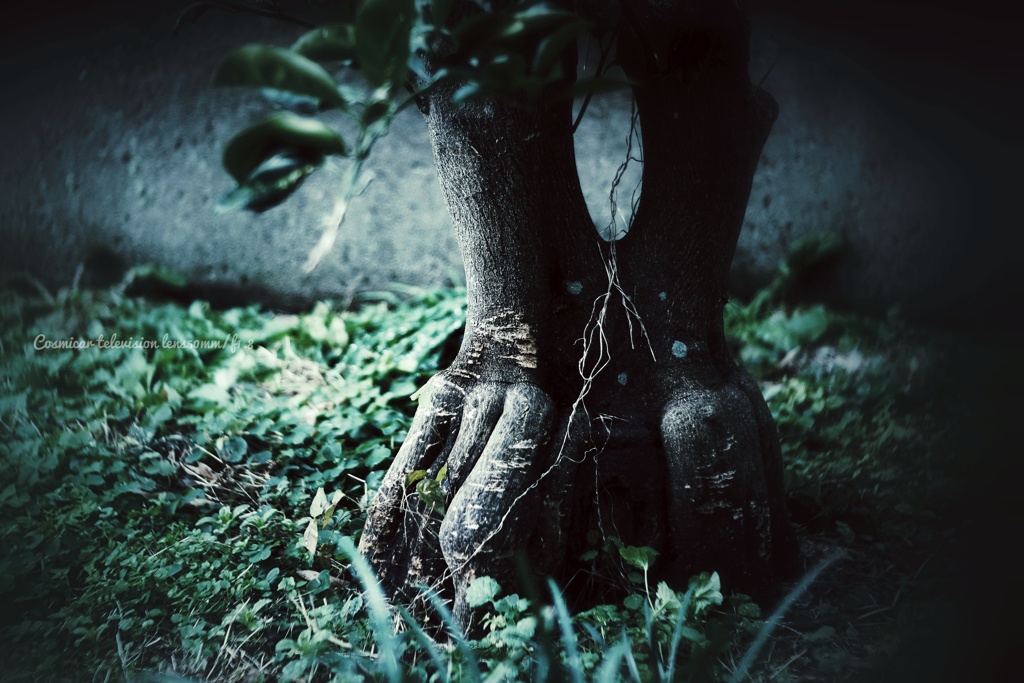 これは“足”だと思った…