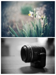 DT35 再燃。春の入り口に温もる。…