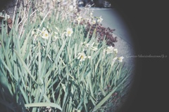 Hey！タクシー……