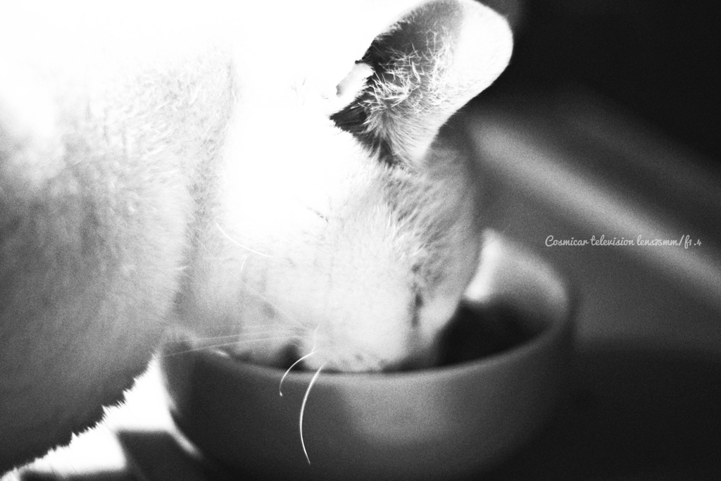 瞑想という名の逃避…