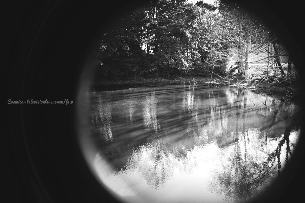 西の日差し、記憶に沈む…