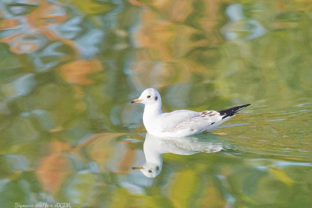 ファンタジックウォーター…