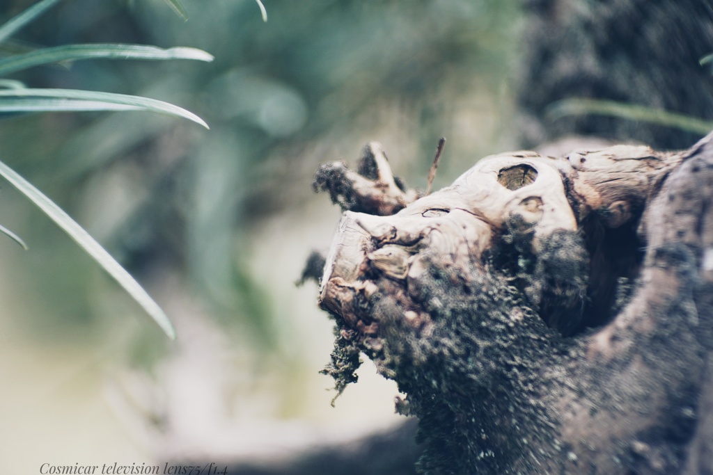 毎度お世話になります。…