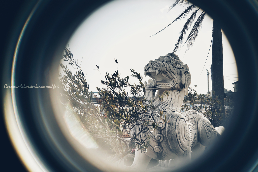 音波発声ライオン…